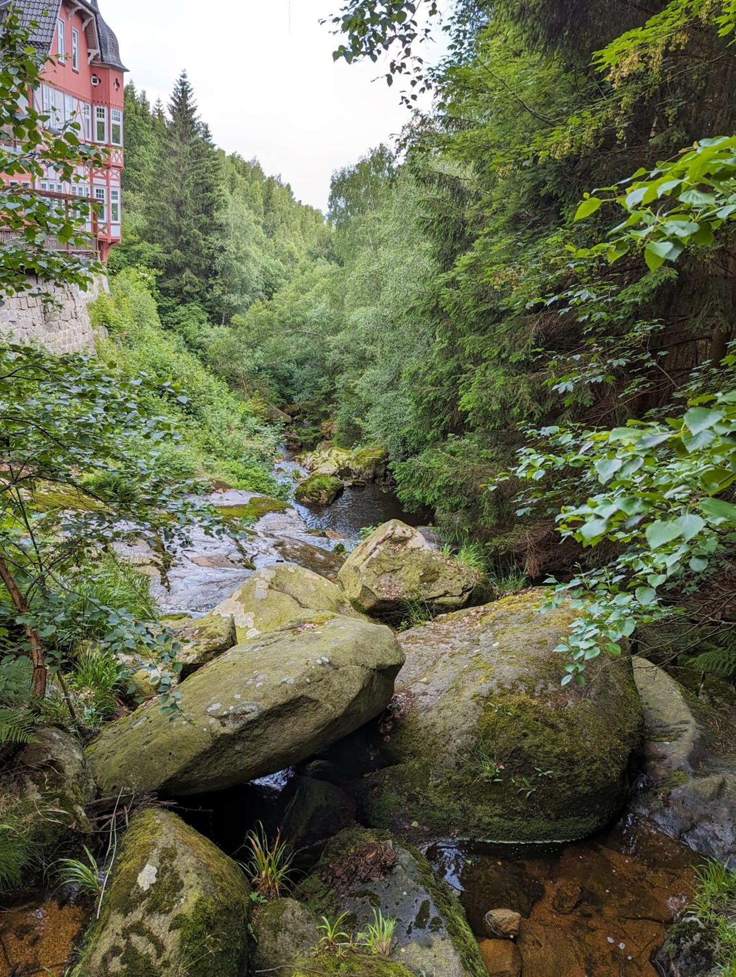 Waldgasthaus & Berghotel Steinerne Renne Вернигерод Екстериор снимка